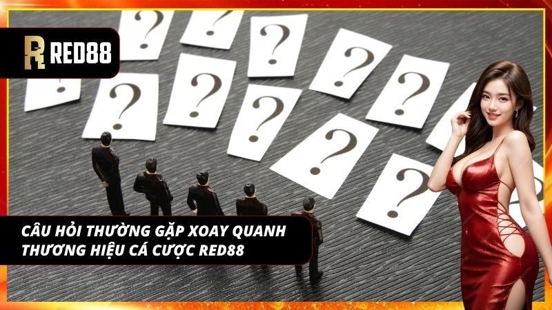 Thông tin tổng hợp giúp tiết kiệm thời gian tìm hiểu